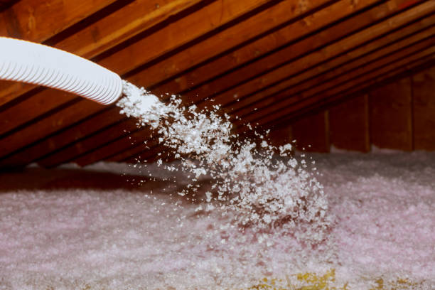 Best Energy Efficiency Solutions in Little River Academy, TX