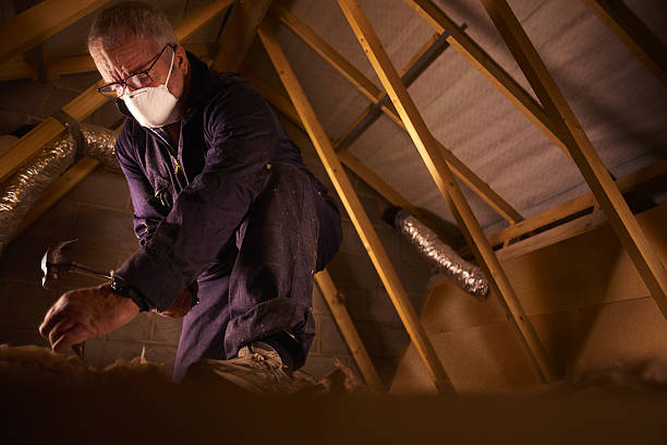 Best Insulation Materials and Products in Little River Academy, TX